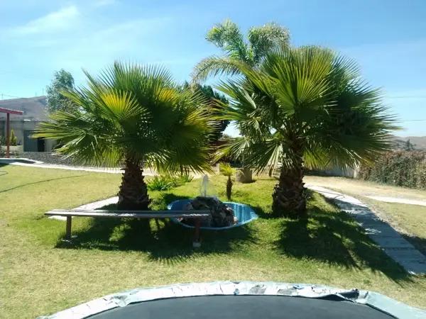 Terreno en venta en San Pablo Ahuatempa, Santa Isabel Cholula, Puebla