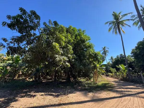 Terreno en venta en Rinconada del Balsas, Lázaro Cárdenas, Michoacán de Ocampo