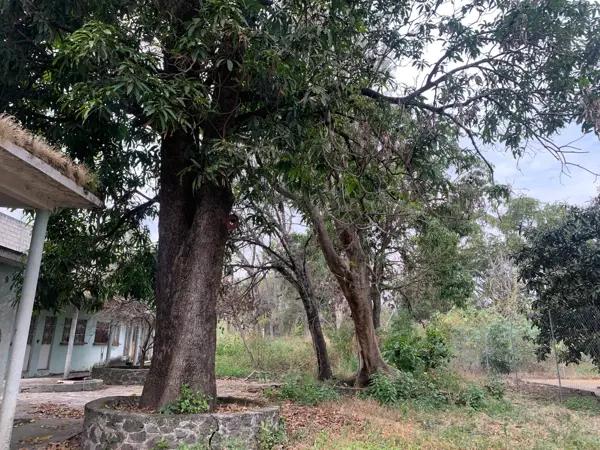 Terreno en venta en Ixtlahuacan, Yautepec, Morelos
