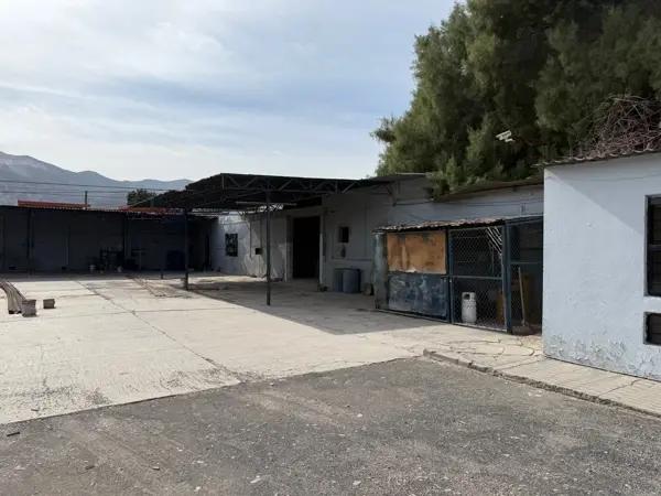 Bodega en venta en Eduardo Guerra, Torreón, Coahuila de Zaragoza Bodega en venta en Eduardo Guerra, Torreón, Coahuila de Zaragoza