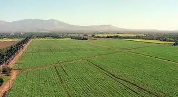 Terreno en venta en San José de Chiapa, San José Chiapa, Puebla