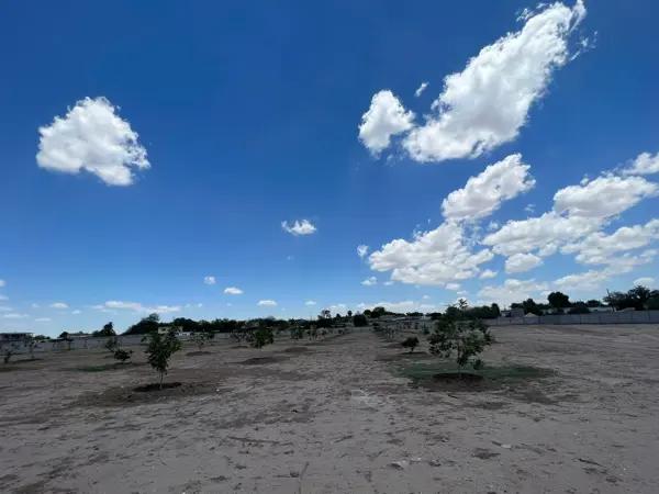 Terreno en venta en Hormiguero, Matamoros, Coahuila de Zaragoza Terreno en venta en Hormiguero, Matamoros, Coahuila de Zaragoza