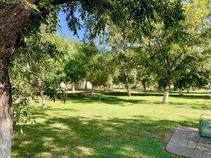 Terreno en venta en San Armando, Torreón, Coahuila de Zaragoza