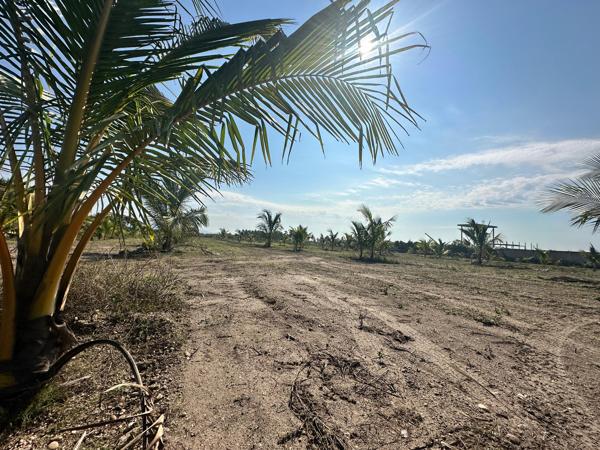 Terreno en venta en Feliciano, La Unión de Isidoro Montes de Oca, Guerrero