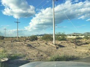 Terreno en venta en Santa Cecilia, Matamoros, Coahuila de Zaragoza