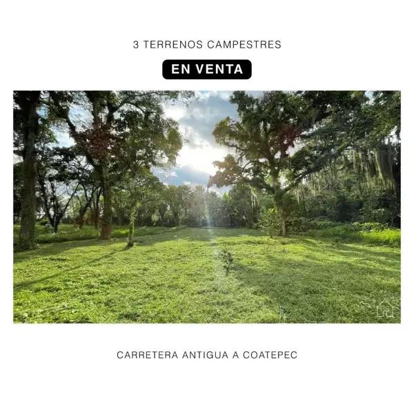 Terreno en venta en Briones, Coatepec, Veracruz de Ignacio de la Llave