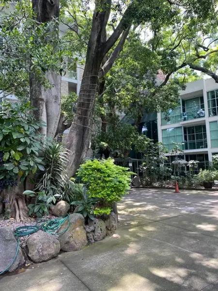 Departamento en renta en Potrero Verde, Cuernavaca, Morelos