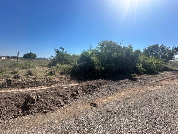 Terreno en venta en Feliciano, La Unión de Isidoro Montes de Oca, Guerrero