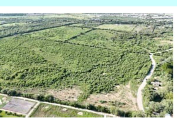 Terreno en venta en Benito Juarez, Linares, Nuevo León