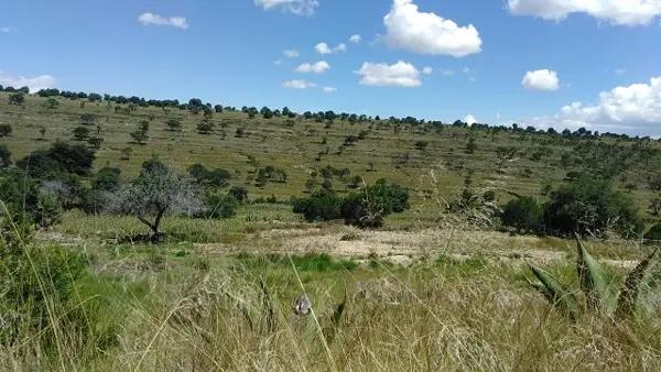 Terreno en venta en Delicias, Atltzayanca, Tlaxcala