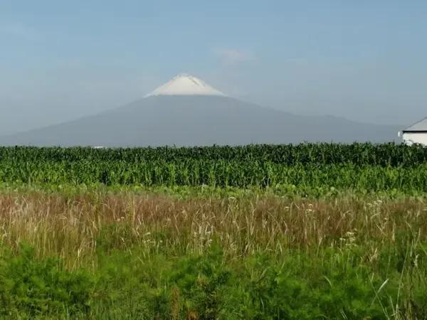 Terreno en venta en San Antonio Cacalotepec, San Andrés Cholula, Puebla