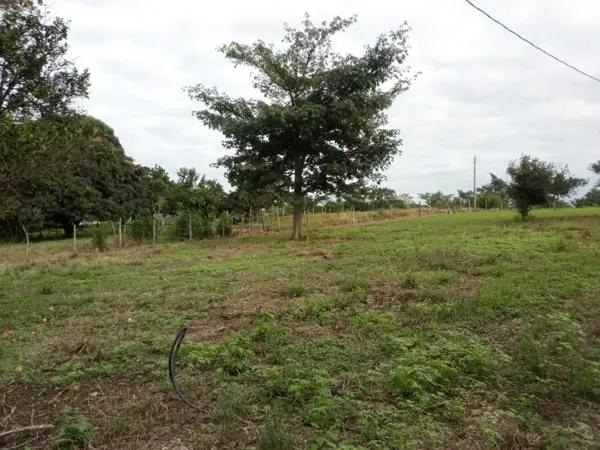 Terreno en venta en Pueblo Nuevo de las Raíces, Centro, Tabasco