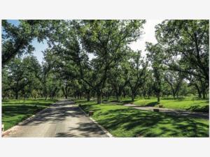 Terreno en venta en Parras, Parras, Coahuila de Zaragoza