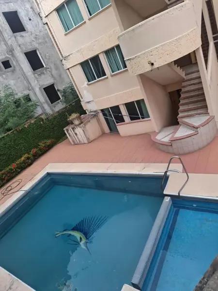 Departamento en renta en Playa de Oro Mocambo, Boca del Río, Veracruz de Ignacio de la Llave