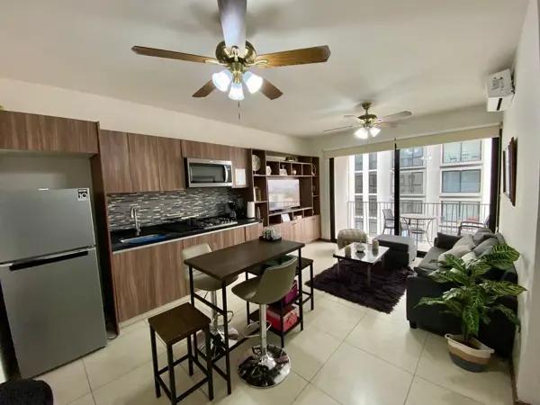 DEPARTAMENTO DE LUJO TORRE SUZAT