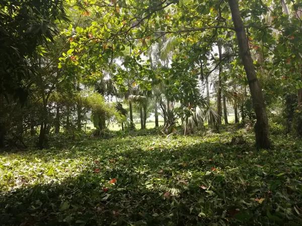 Terreno en venta en Medellín y Madero 3ra. Sección, Centro, Tabasco