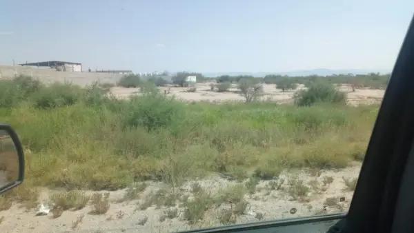 Terreno en renta en Purísima, Matamoros, Coahuila de Zaragoza