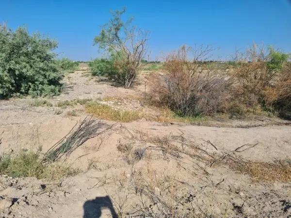 Terreno en venta en Pastor Rouaix, Gómez Palacio, Durango