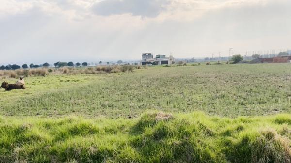 Terreno en venta en San Miguel Totocuitlapilco, Metepec, México