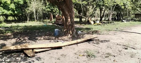 Finca-Rancho en venta en Joachin, Tierra Blanca, Veracruz de Ignacio de la Llave
