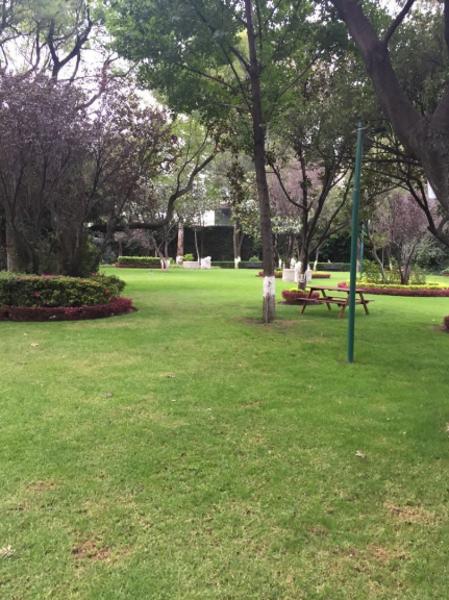 Departamento en venta y renta en Lomas de Chapultepec I Sección, Miguel Hidalgo, Ciudad de México