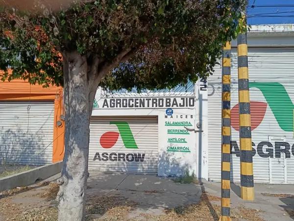 Bodega en renta en Ganadera, Irapuato, Guanajuato