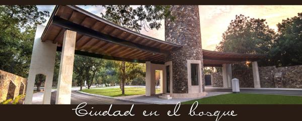 Terreno en venta en Peña Alta, Saltillo, Coahuila de Zaragoza
