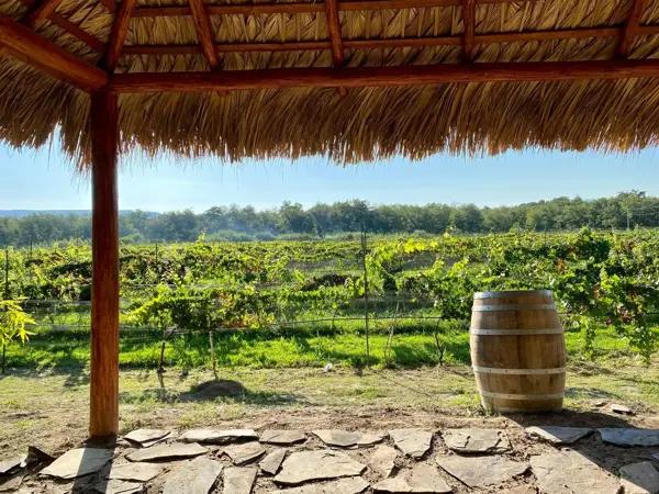 Terreno en venta en Del Marquez, Parras, Coahuila de Zaragoza