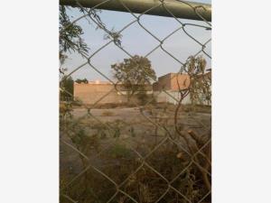 Terreno en renta en Gomez Palacio Centro, Gómez Palacio, Durango