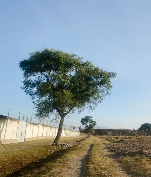 Terreno en venta en San Miguel Totocuitlapilco, Metepec, México