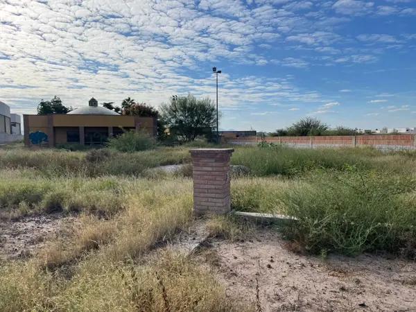 Terreno Comercial en Renta en Autopista Torreón-San Pedro: Ubicación Estratégica y Gran Espacio.