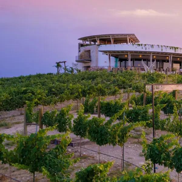 Terreno en venta en Parras, Parras, Coahuila de Zaragoza