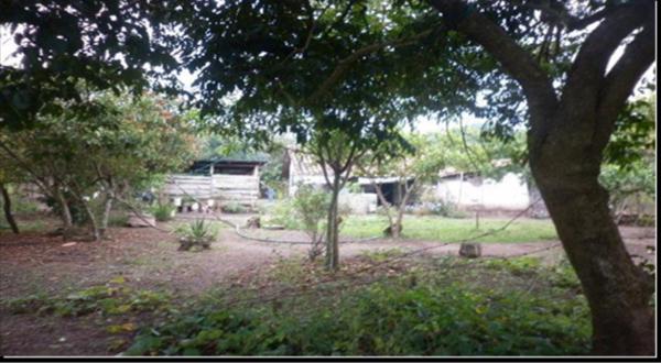 Terreno en venta en Dolores Jaltenango, La Concordia, Chiapas