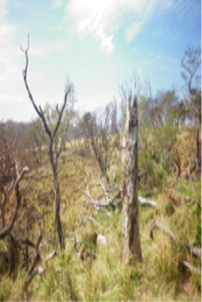 Terreno en venta en Arriaga Centro, Arriaga, Chiapas