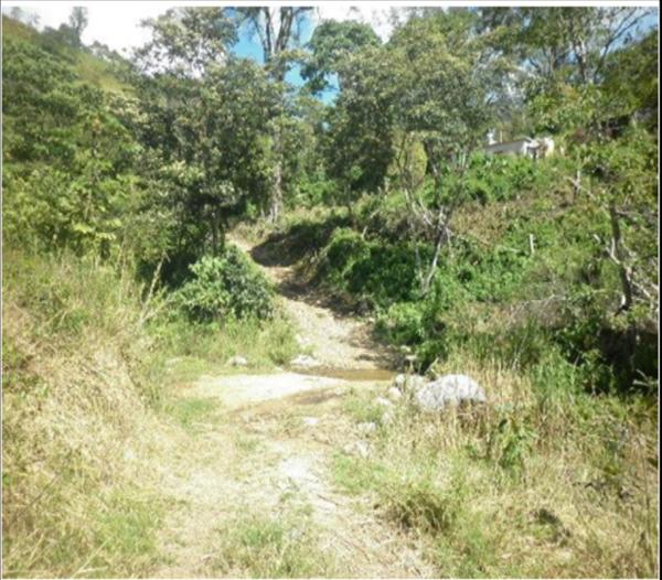 Terreno en venta en Buenavista, Villa Corzo, Chiapas