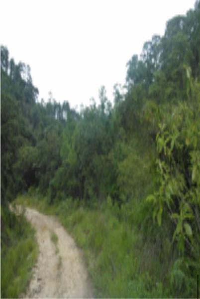 Terreno en venta en Villa Corzo, Villa Corzo, Chiapas