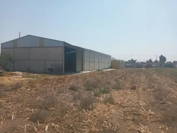 Bodega en Renta en San Mateo Capultitlán, Huejotzingo, Puebla