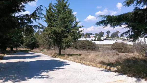 Terreno en Venta en Zavaleta, San Damián Texoloc, Tlaxcala