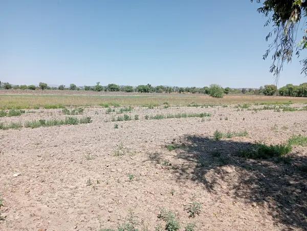 Terreno en Venta en Domingo Arenas, Zacatelco, Tlaxcala