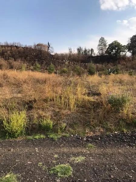 Terreno en Venta en San Mateo Tezoquipan Miraflores, Chalco, México