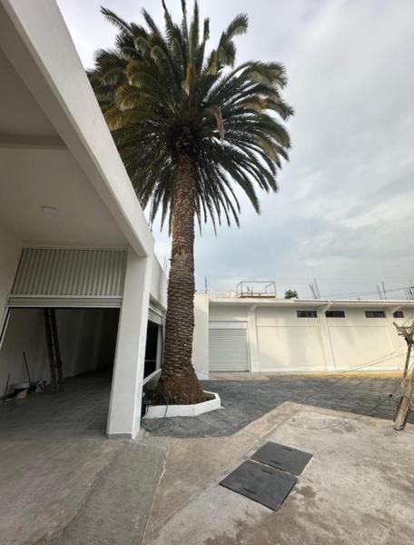 Local en Renta en Ampliación Ejido de Tecámac, Tecámac, México