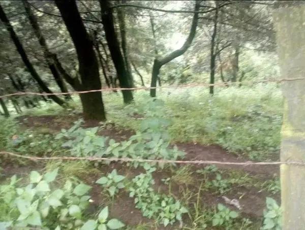 Terreno en Venta en Independencia, Ixtapaluca, México