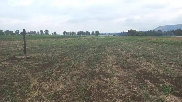 Terreno en Venta en Santiago Cuauhtenco, Amecameca, México