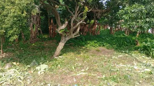 Terreno en Venta en Anacleto Canabal 2da. Sección, Centro, Tabasco
