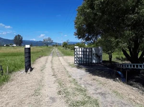 Terreno en Venta en Pilcaya, Pilcaya, Guerrero