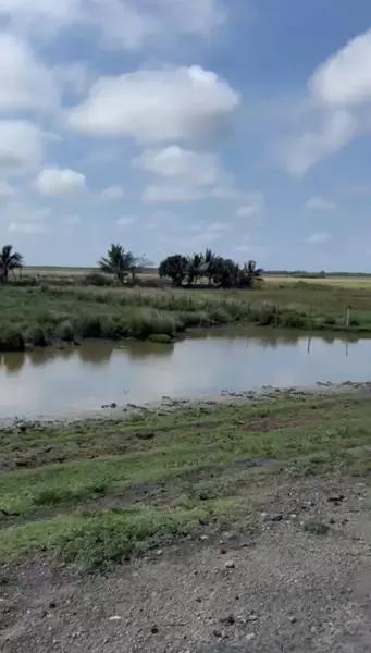 Terreno Comercial en Venta en Alvarado Centro, El Mediadero, Veracruz