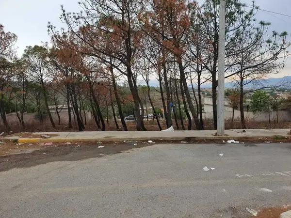 Terreno en Venta en San Francisco Acuautla, Ixtapaluca, México