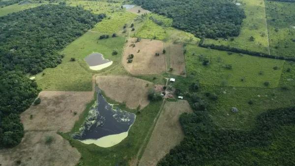 Rancho en Venta en Topila, Tampico Alto, Veracruz de Ignacio de la Llave