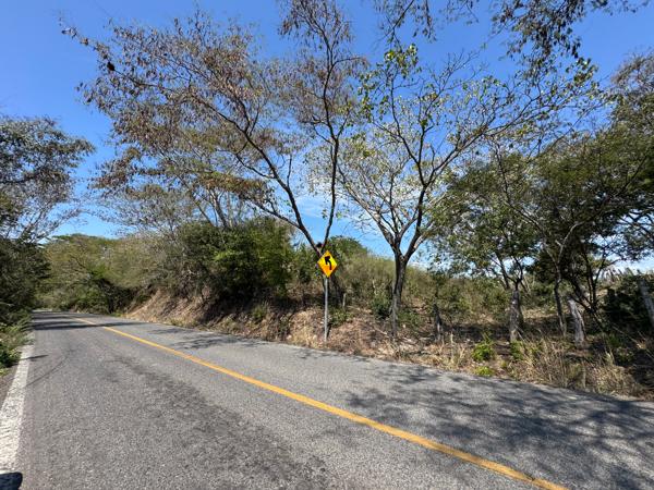 Terreno Industrial en Renta a pie de carretera en Coyuquilla, Guerrero