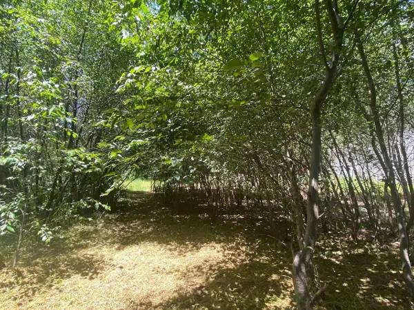 Terreno en Venta en Xicohtzingo, Xicohtzinco, Tlaxcala